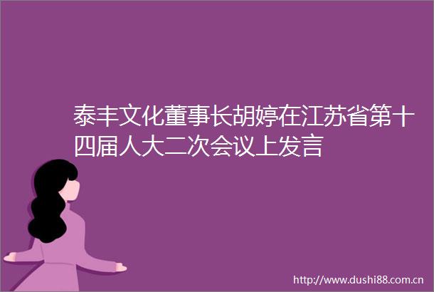 泰丰文化董事长胡婷在江苏省第十四届人大二次会议上发言