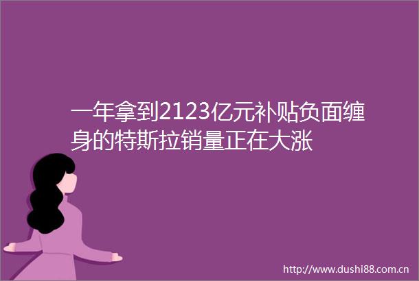 一年拿到2123亿元补贴负面缠身的特斯拉销量正在大涨