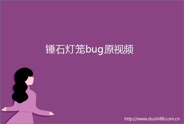 锤石灯笼bug原视频