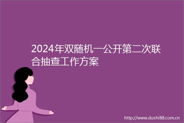 2024年双随机一公开第二次联合抽查工作方案