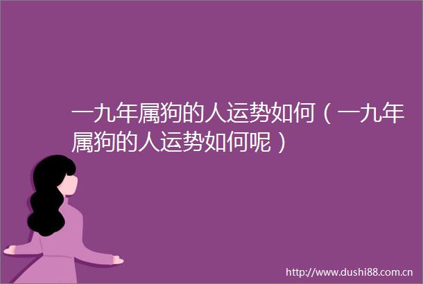 一九年属狗的人运势如何（一九年属狗的人运势如何呢）