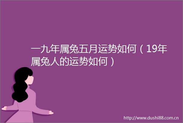 一九年属兔五月运势如何（19年属兔人的运势如何）