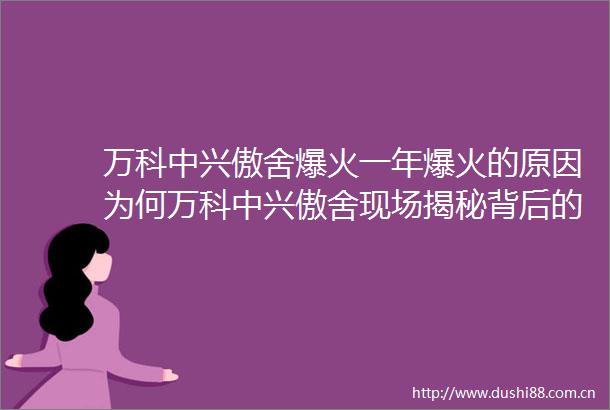 万科中兴傲舍爆火一年爆火的原因为何万科中兴傲舍现场揭秘背后的真相
