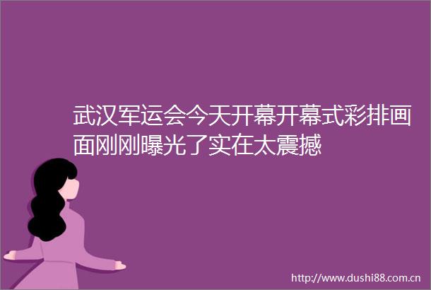 武汉军运会今天开幕开幕式彩排画面刚刚了实在太震撼