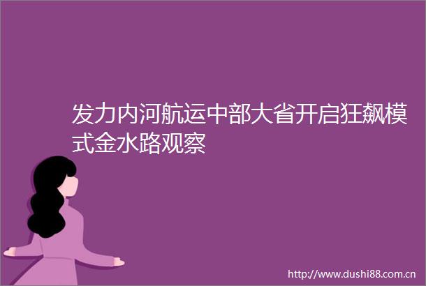 发力内河航运中部大省开启狂飙模式金水路观察