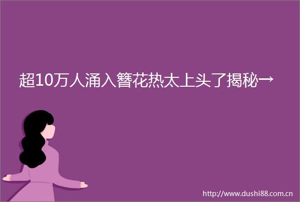 超10万人涌入簪花热太上头了揭秘→