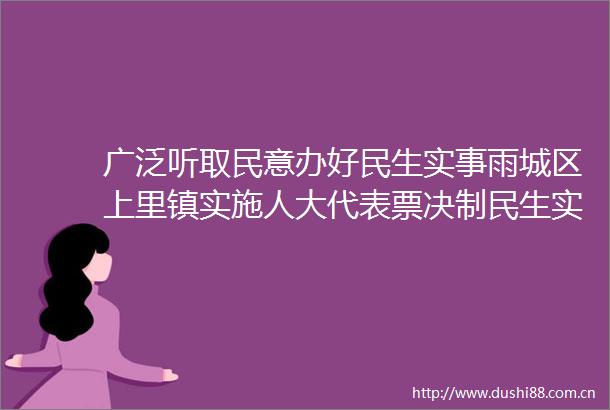广泛听取民意办好民生实事雨城区上里镇实施人大代表票决制民生实事项目由民做主