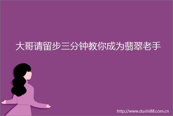 大哥请留步三分钟教你成为翡翠老手