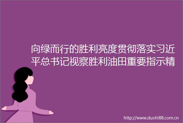 向绿而行的胜利亮度贯彻落实总书记视察胜利油田重要指示精神系列报道之三