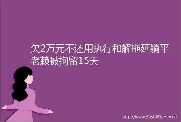 欠2万元不还用执行和解拖延躺平被拘留15天