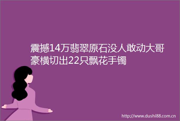 震撼14万翡翠原石没人敢动大哥豪横切出22只飘花手镯