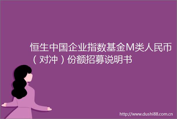 恒生企业指数基金M类币（对冲）份额招募说明书