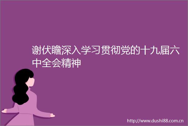 谢伏瞻深入学习贯彻党的十九届六中全会精神