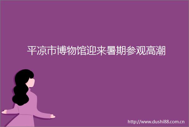 平凉市博物馆迎来暑期参观高潮