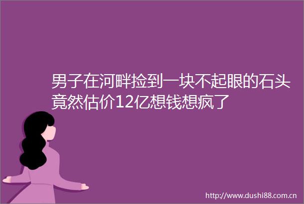 男子在河畔捡到一块不起眼的石头竟然估价12亿想钱想疯了