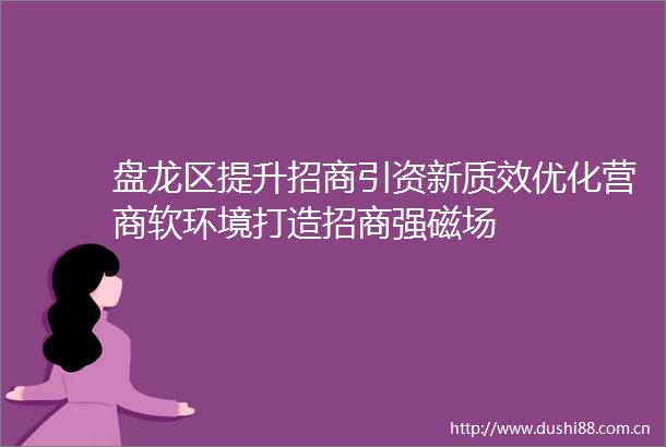 盘龙区提升招商引资新质效优化营商软环境打造招商强磁场