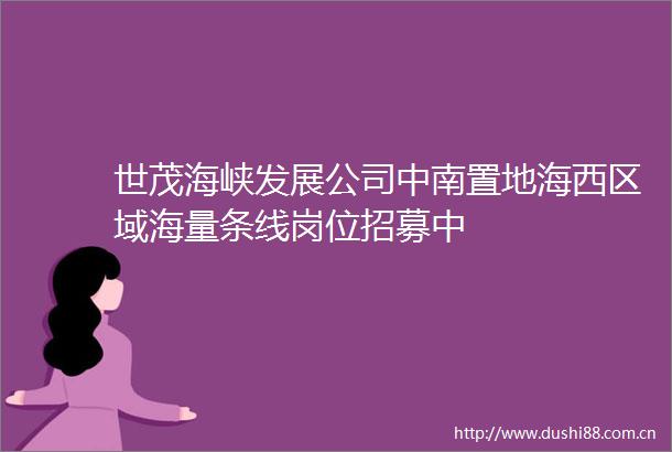 世茂海峡发展公司中南置地海西区域海量条线岗位招募中