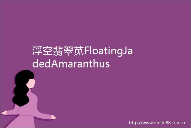 浮空翡翠苋FloatingJadedAmaranthus