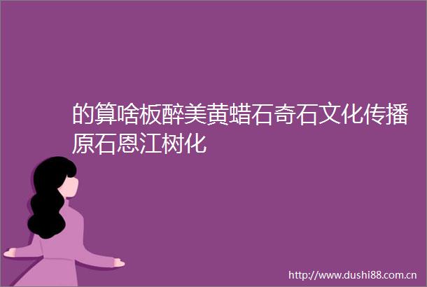 的算啥板醉美黄蜡石奇石文化传播原石恩江树化
