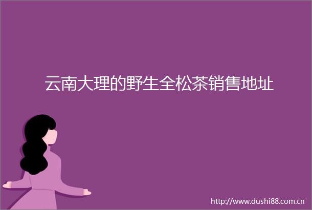 云南大理的野生全松茶销售地址