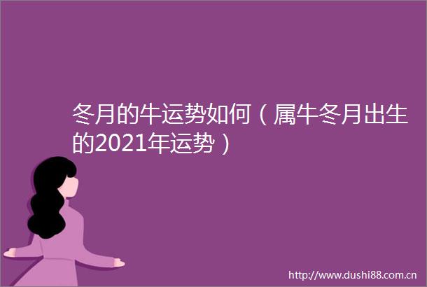 冬月的牛运势如何（属牛冬月出生的2021年运势）