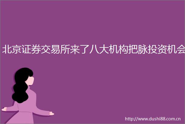 北京证券交易所来了八大机构把脉投资机会