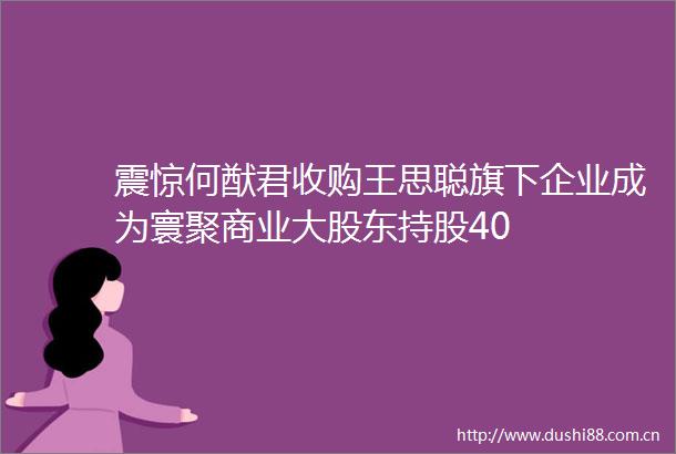 震惊何猷君收购王思聪旗下企业成为寰聚商业大股东持股40