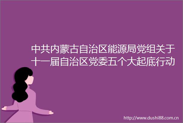 内蒙古自治区能源局党组关于十一届自治区党委五个大起底行动专项巡视整改进展情况的通报