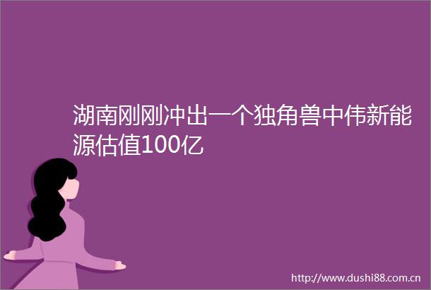 湖南刚刚冲出一个独角兽中伟新能源估值100亿