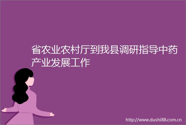 省农业农村厅到我县调研指导中药产业发展工作