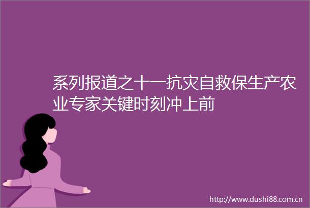 系列报道之十一抗灾自救保生产农业专家关键时刻冲上前