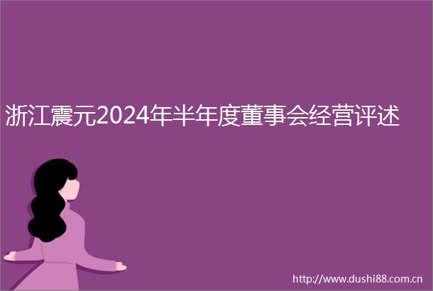 浙江震元2024年半年度董事会经营评述