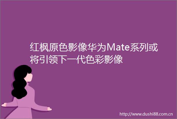 红枫原色影像华为Mate系列或将引领下一代色彩影像