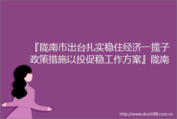 『陇南市出台扎实稳住经济一揽子政策措施以投促稳工作方案』陇南市出台扎实稳住经济一揽子政策措施以投