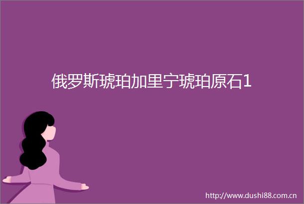 俄罗斯琥珀加里宁琥珀原石1