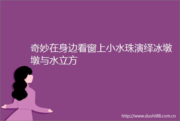奇妙在身边看窗上小水珠演绎冰墩墩与水立方