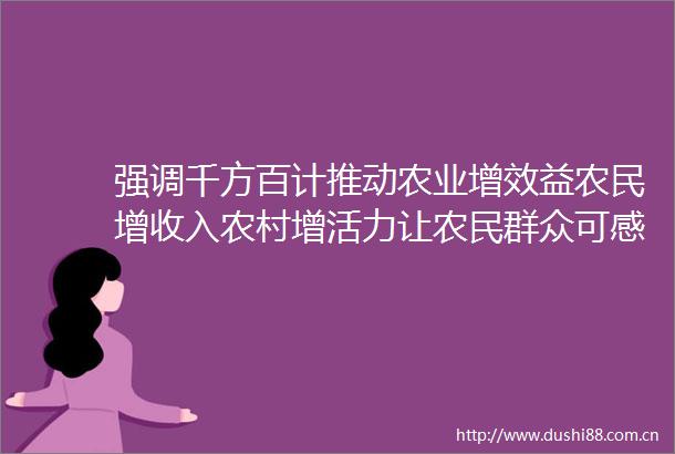 强调千方百计推动农业增效益农民增收入农村增活力让农民群众可感可及得到实惠