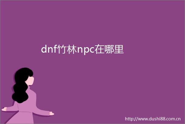 dnf竹林npc在哪里