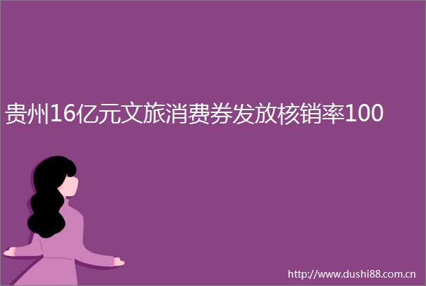 贵州16亿元文旅消费券发放核销率100