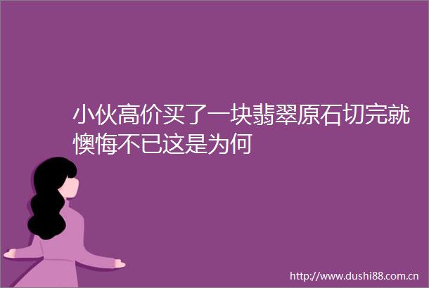 小伙高价买了一块翡翠原石切完就懊悔不已这是为何