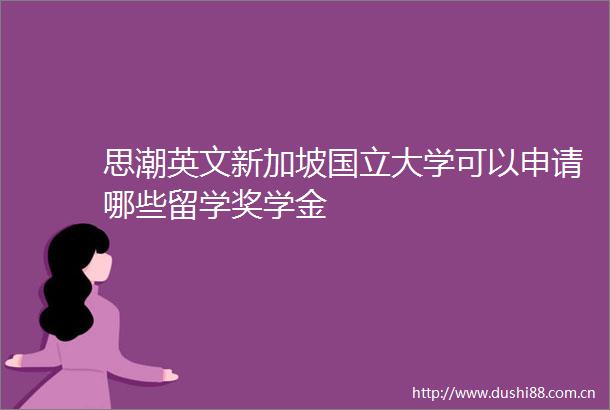 思潮英文新加坡国立大学可以申请哪些留学奖学金