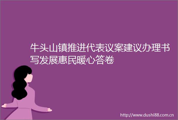 牛头山镇推进代表议案建议办理书写发展惠民暖心答卷