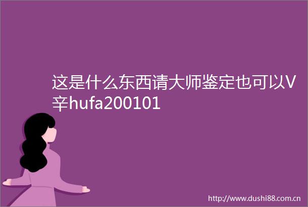 这是什么东西请大师鉴定也可以V辛hufa200101