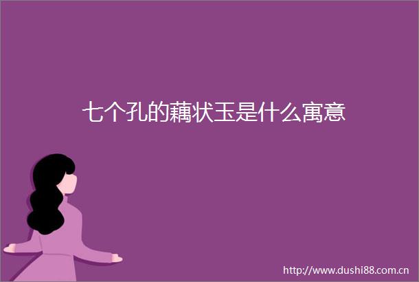 七个孔的藕状玉是什么寓意