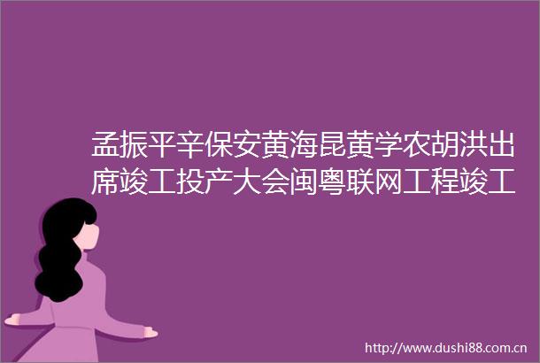 孟振平辛保安黄海昆黄学农胡洪出席竣工投产大会闽粤联网工程竣工投产两省电网首次实现互联互通