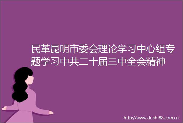 民革昆明市委会理论学习中心组专题学习二十届三中全会精神