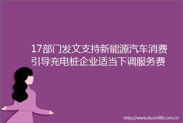 17部门发文支持新能源汽车消费引导充电桩企业适当下调服务费