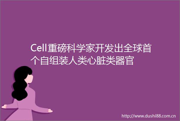 Cell重磅科学家开发出全球首个自组装人类心脏类器官