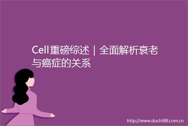Cell重磅综述｜全面解析衰老与癌症的关系