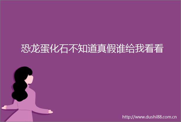 恐龙蛋化石不知道真假谁给我看看